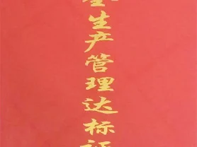 安全生产管理达标证书